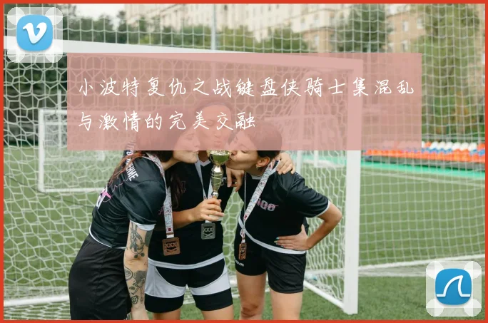 小波特复仇之战键盘侠骑士集混乱与激情的完美交融